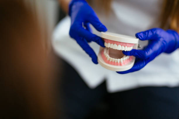 Barrington, IL  Holistic Dental Services Company